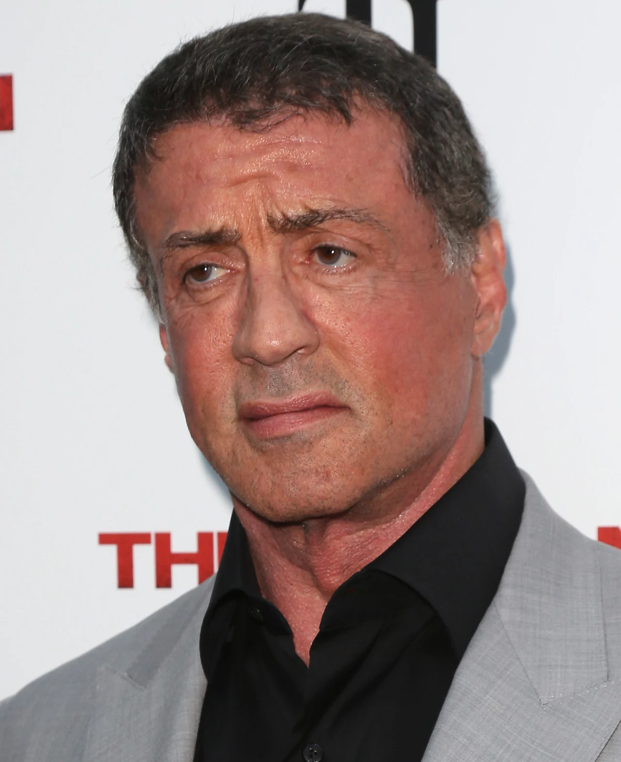 Sylvester Stallone Sylvester Stallone