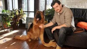Komisarz Michał Orlicz i jego partner Alex porozumiewają się ze sobą bez problemów.