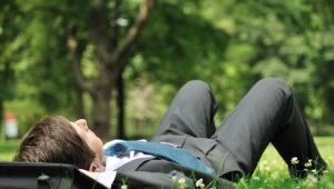 Pocketpair daje wolne swoim pracownikom. Chodzi o premierę gry Monster Hunter Wilds