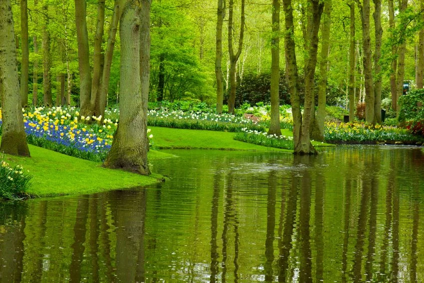 Najpiękniejsze ogrody świata: Keukenhof