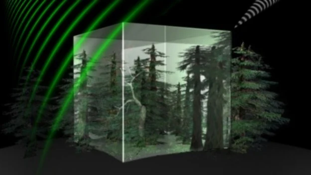 ESA chce przyczynić się do ochrony ziemskiej biomasy ESA chce przyczynić się do ochrony ziemskiej biomasy