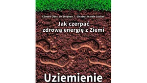 Jak czerpać zdrową energię z Ziemi - Uziemienie