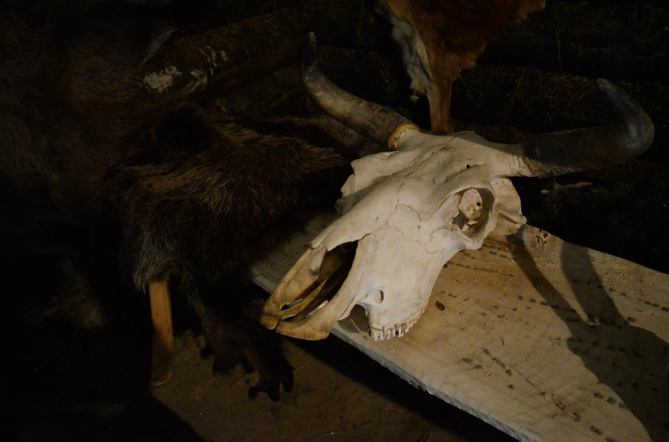 1/15s, f/4.5 ISO 3200