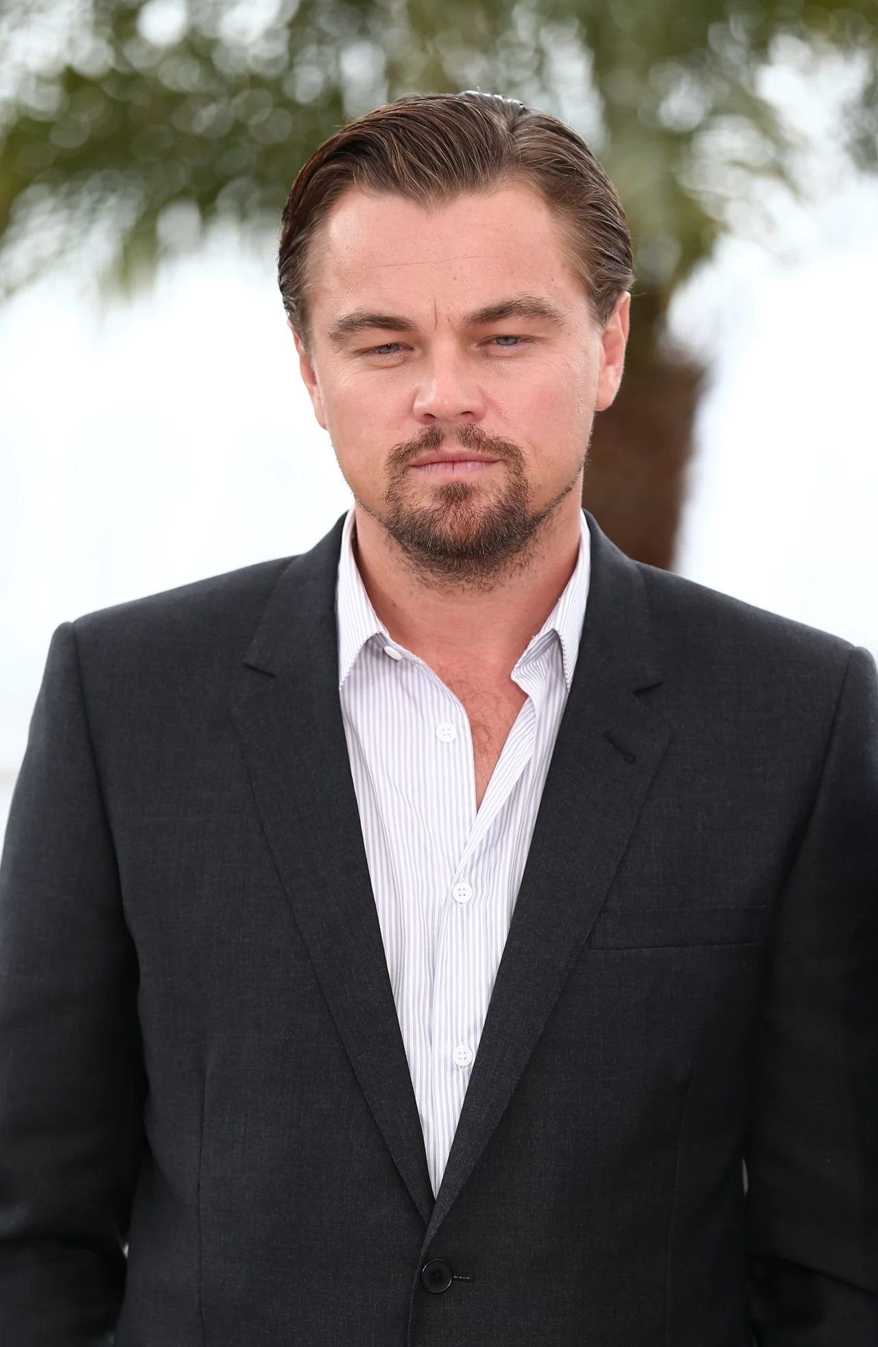 Leonardo DiCaprio Leonardo DiCaprio
