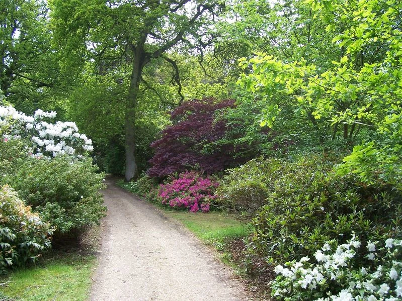 Exbury Gardens