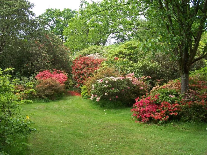 Exbury Gardens