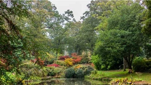 Najpiękniejsze ogrody świata: Exbury Gardens