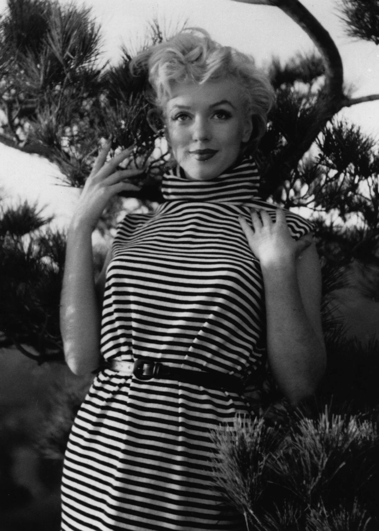 Marilyn Monroe Marilyn Monroe