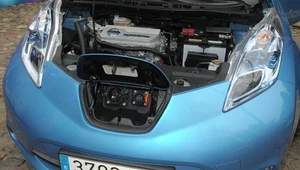 Nissan Leaf, nagrodzony europejskim tytułem Samochodu Roku 2011, to jak dotychczas najpopularniejszy samochód elektryczny na świecie (ponad 50 tys. sztuk). Nadal jednak jego sprzedaż nie jest dość satysfakcjonująca dla szefów koncernu Nissan-Renault.