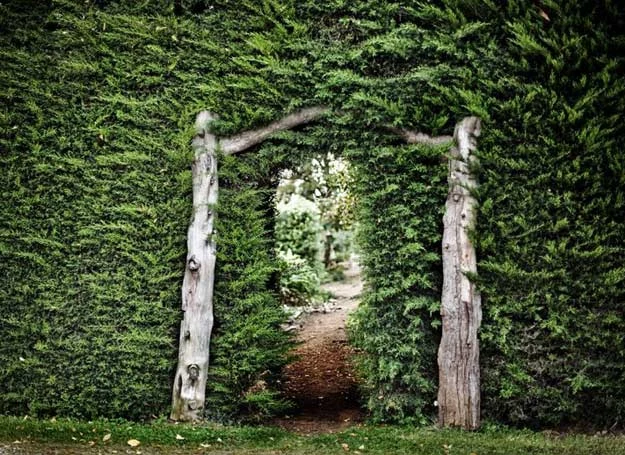Wejście do tajemniczego ogrodu