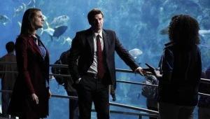 Kości 