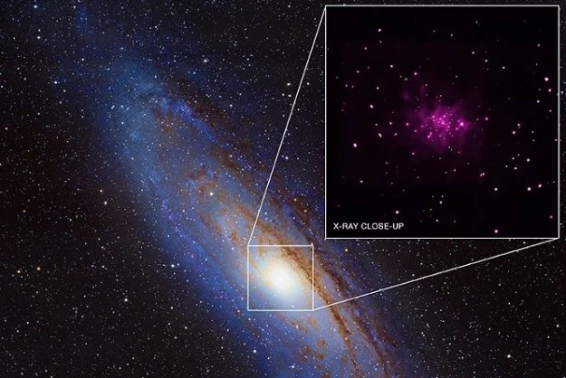 Andromeda   Fot. NASA/CXC/SAO/R. Barnard, Z. Lee et al