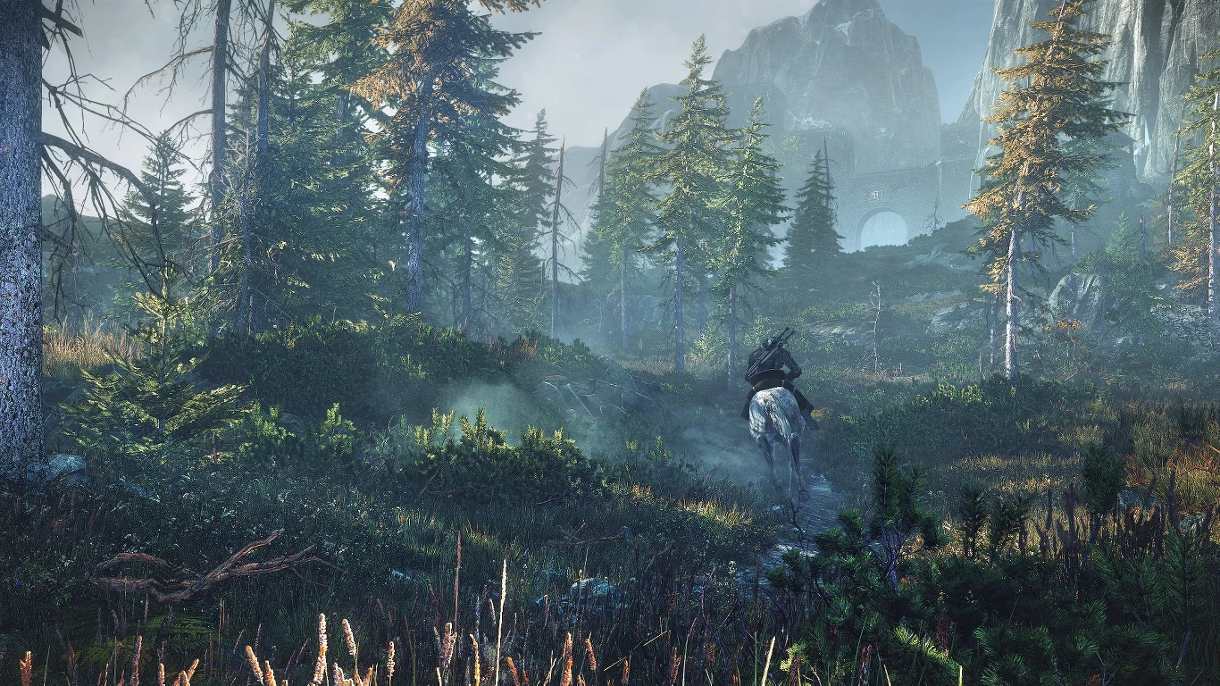 Witcher 3