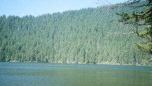 Jezioro Czarne w Szumawach, gdzie „odkryto” archiwum RSHA