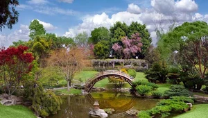 Najpiękniejsze ogrody świata: Huntington  Garden