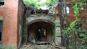 North Brother Island - opuszczona wyspa