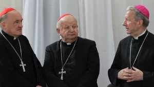Kard. Kazimierz Nycz kard. Stanisław Dziwisz i bp Jan Zając 