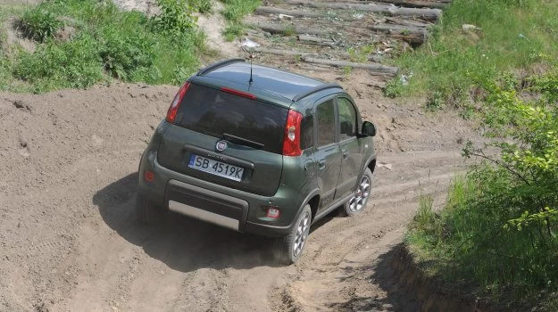 Dzięki niedużej masie (ok. 1 t) Panda 4x4 zupełnie nie boi się piaszczystego terenu.