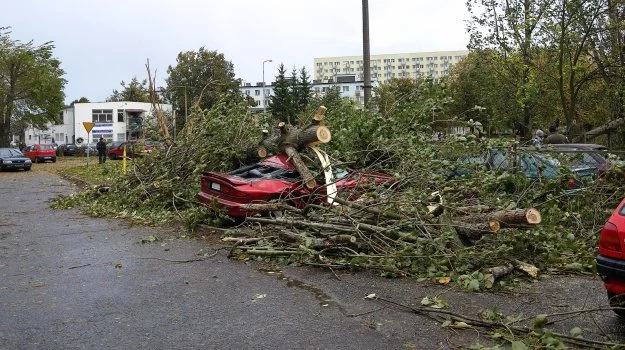 Ubezpieczyciele uzależniają wypłatę odszkodowania z AC m.in. od siły wiatru, który przyczynił się do zniszczenia pojazdu.