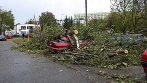 Ubezpieczyciele uzależniają wypłatę odszkodowania z AC m.in. od siły wiatru, który przyczynił się do zniszczenia pojazdu.