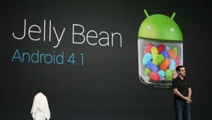 Nowe statystyki Androida: Jelly Bean po raz pierwszy wyprzedza Gingerbread! 