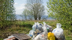 Ministerstwo Klimatu: Więźniowie posprzątają dzikie wysypiska śmieci