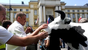 Demonstracja poparcia nowelizacji ustawy o ochronie zwierząt