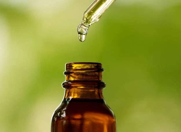 Olejek eteryczny z szałwii muszkatołowej jest ceniony w aromaterapii