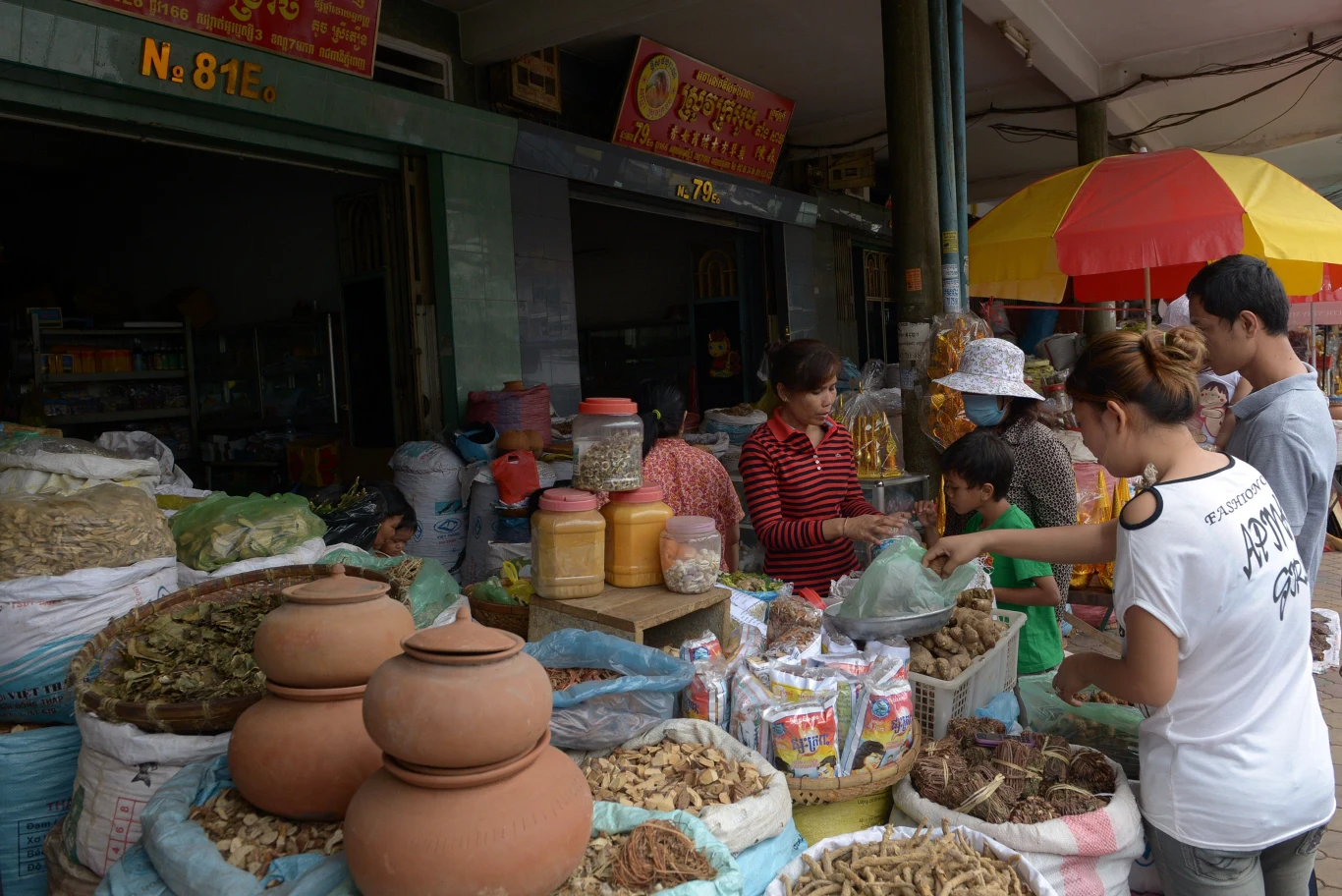 Kramik z lekami naturalnymi prowadzony przez znachorkę