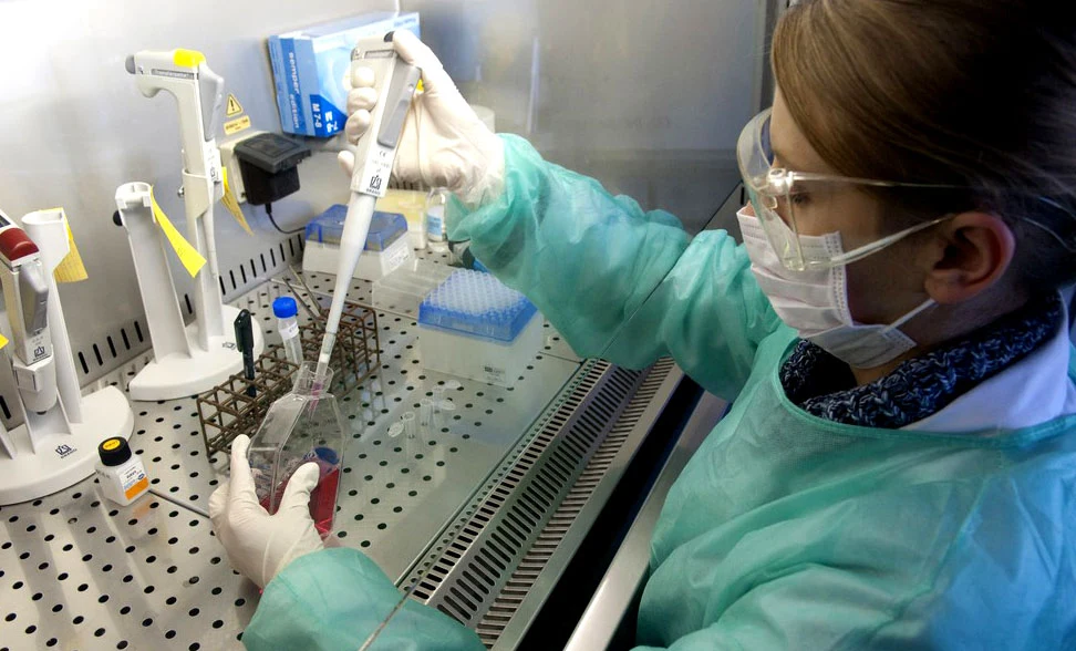 Choroba jest niemal nieuleczalna, a europejskie zwierzęta nie są nią odporne. Choroba jest niemal nieuleczalna, a europejskie zwierzęta nie są nią odporne.