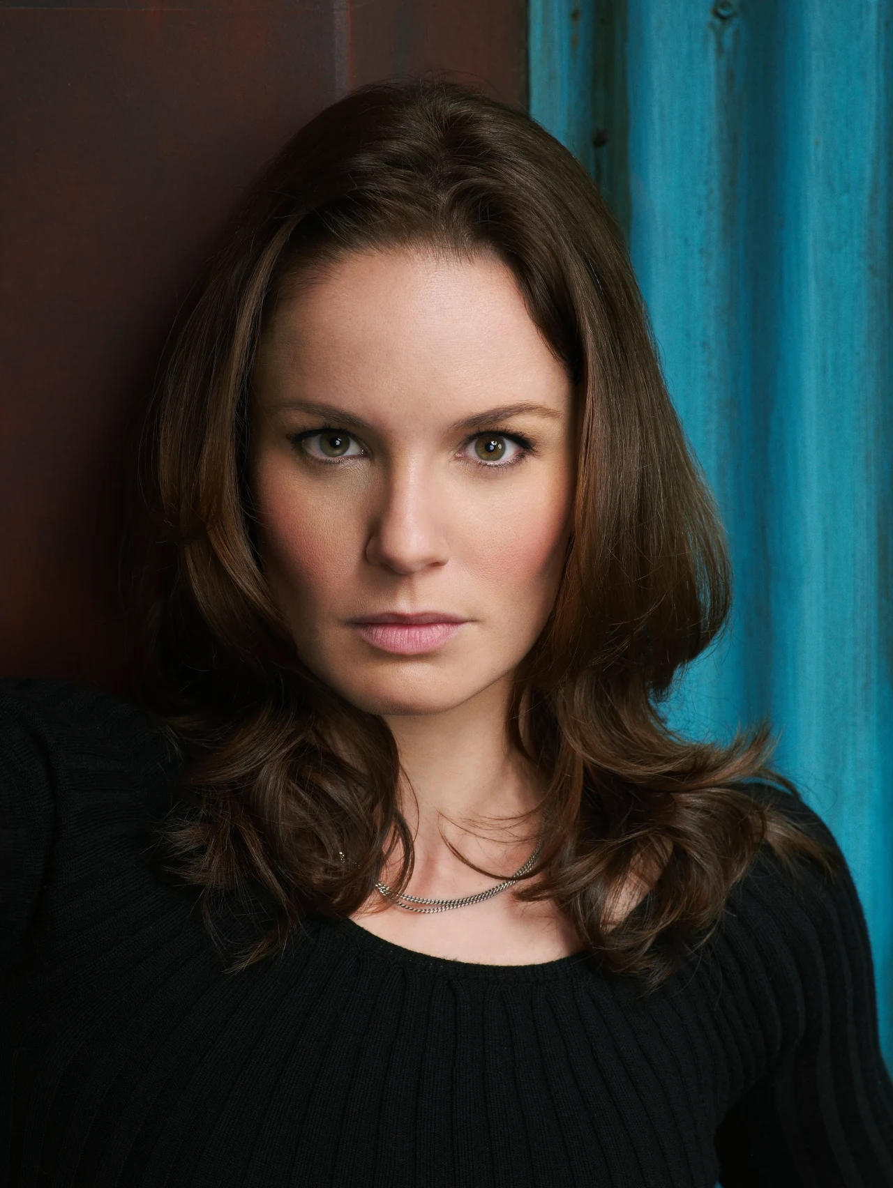 Sarah Wayne Callies jako Sara Tancredi