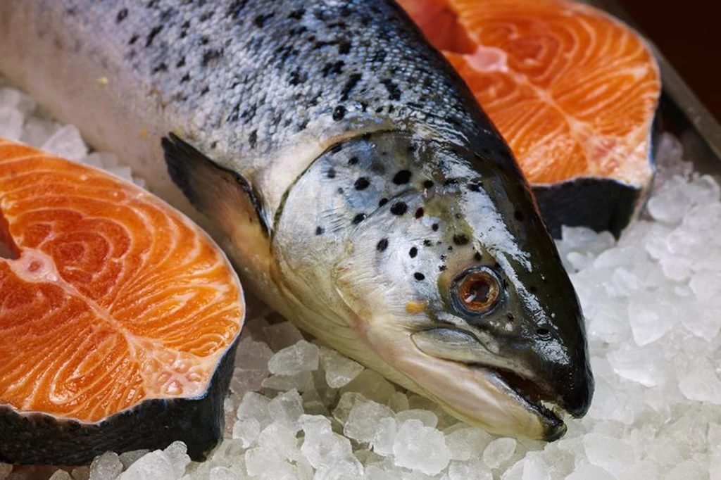 Skóra ryby zawiera wiele cennych składników