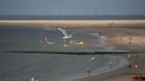 Wyspa Borkum