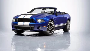 Ostatni Shelby GT500 Convertible trafi pod młotek