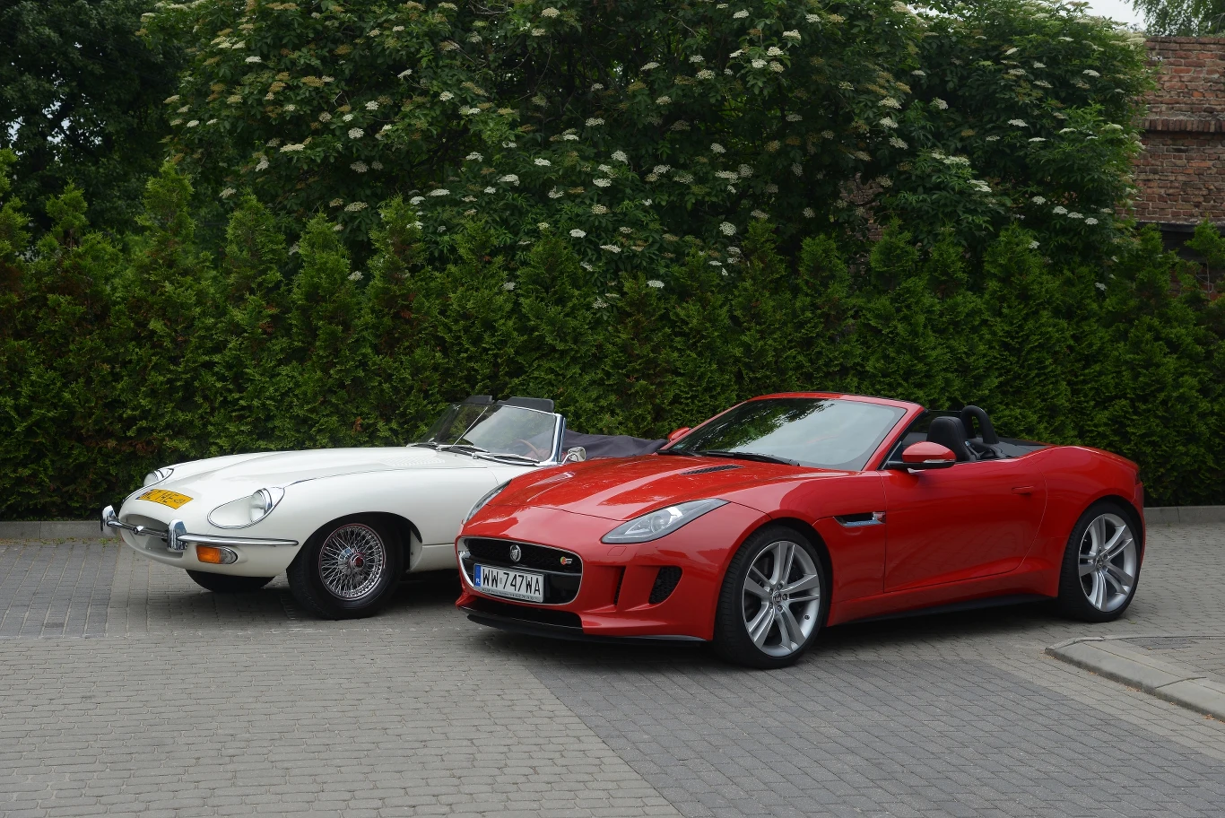 Jaguar F-Type V8 S