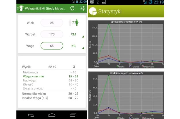 Kalkulator BMI - Waga Idealna i Dziennik Posiłków