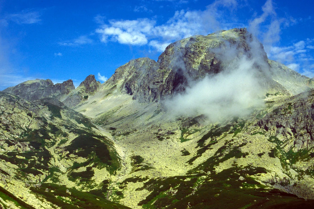 W Dolinie Staroleśnej W Dolinie Staroleśnej