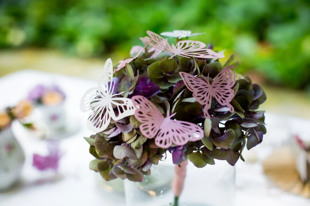 fot. Izabela Sekuła, jakMotyle.pl 