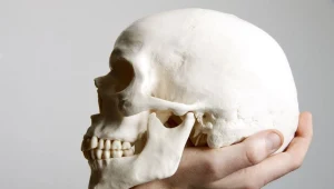 Tym, co sprawia, że dramaty Szekspira są niełatwe do zrozumienia są wysokie rzędy intencjonalności wykorzystywane w intrygach