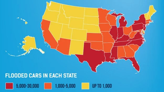 Liczba samochodów popowodziowych w poszczególnych stanach USA.