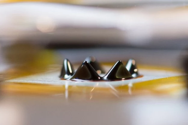 Ferrofluid.    Fot. Sarah Bird/Michigan Tech