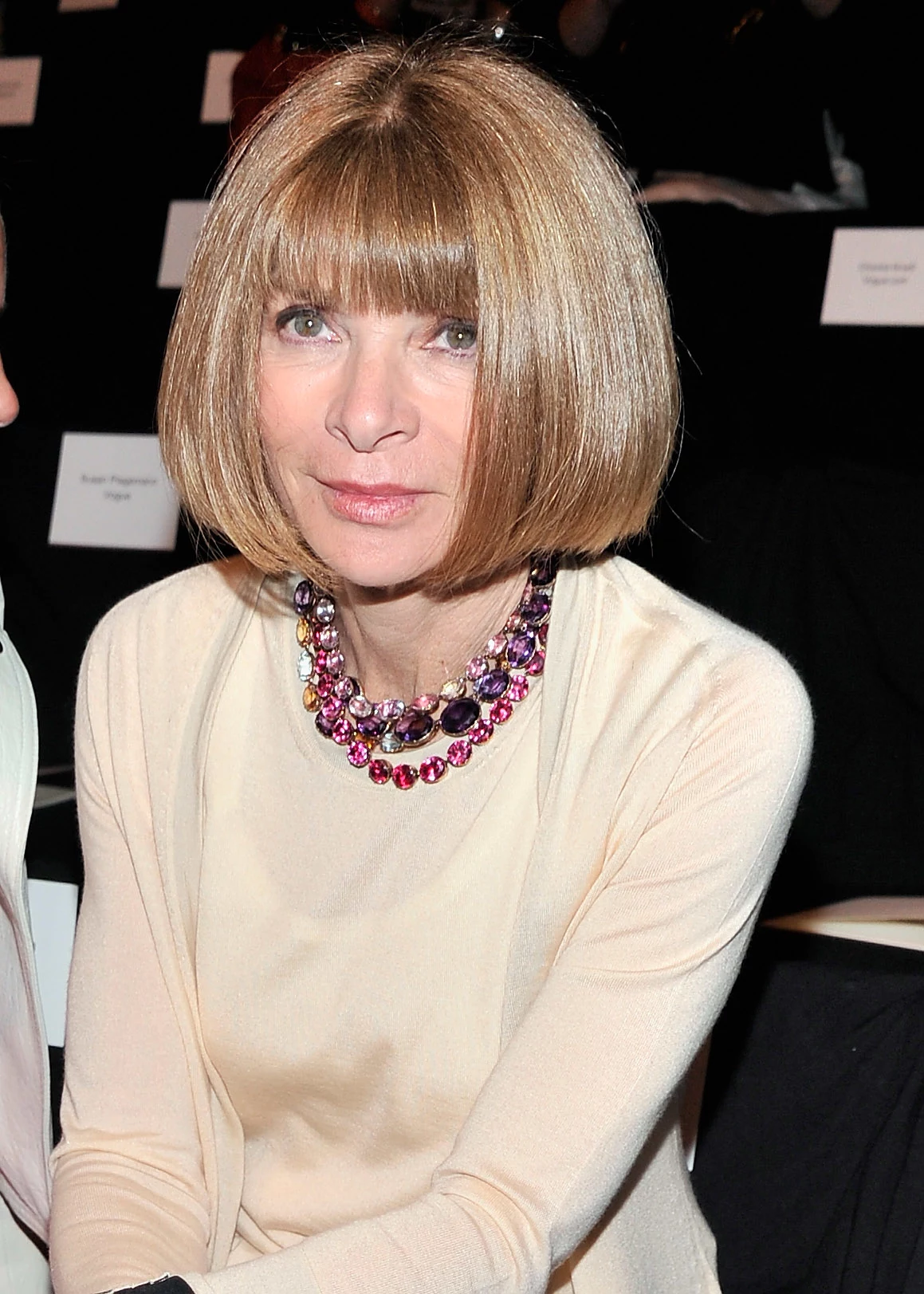 Anna Wintour Anna Wintour