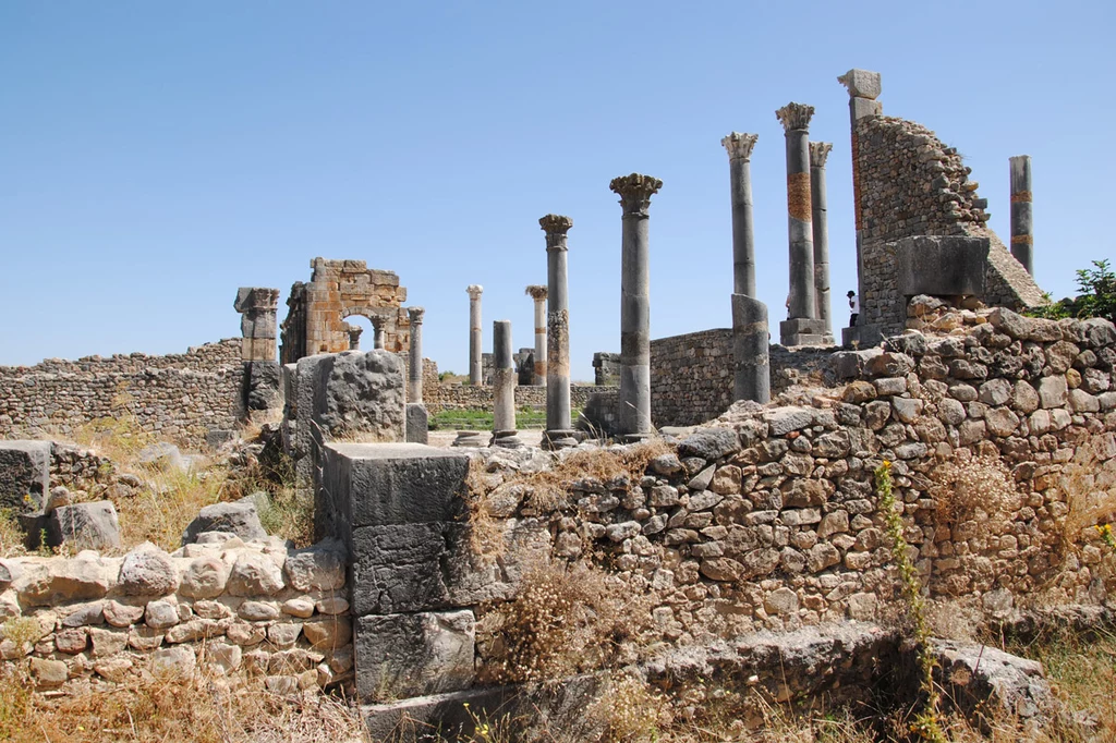 Volubilis /fot. D.Sikorska, W.Stopka/e4kongo.pl