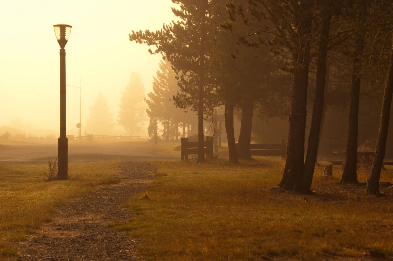 Jak miesiąc urodzenia wpływa na osobowość?