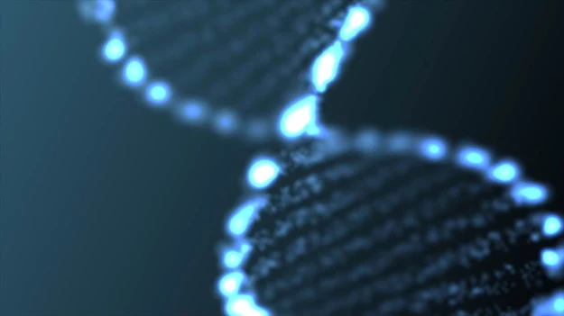 Kwadrupleksy DNA mogą powstawać w komórkach Kwadrupleksy DNA mogą powstawać w komórkach