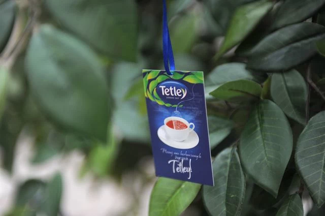 Moc życzeń herbaty Tetley w Warszawie