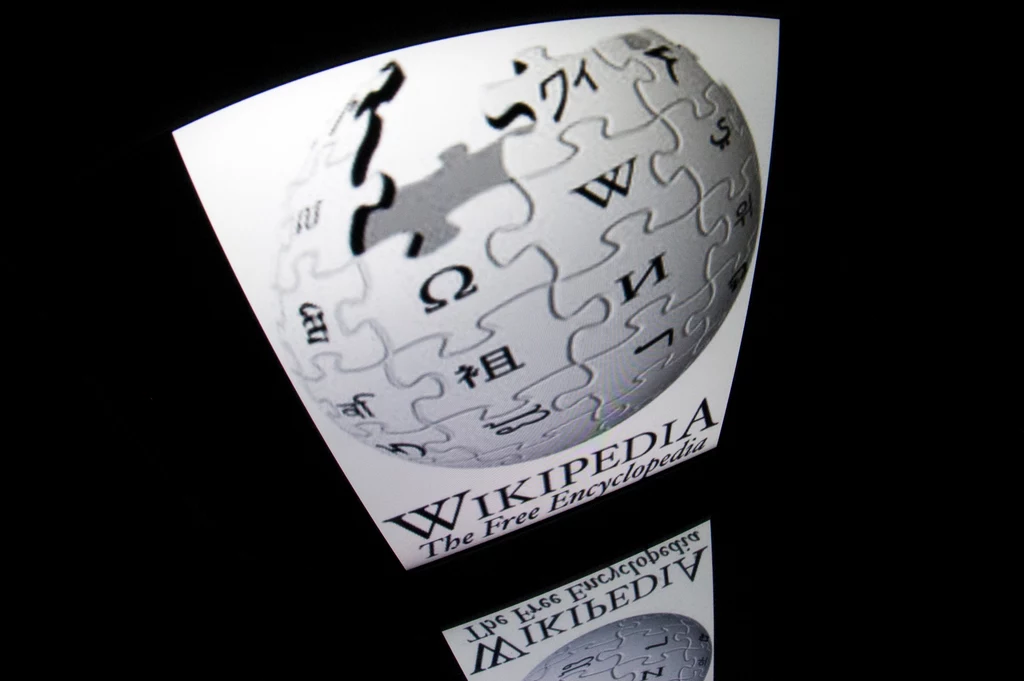 Polska wersja Wikipedii znajduje się na liście 10 najszybciej rozwijanych na świecie