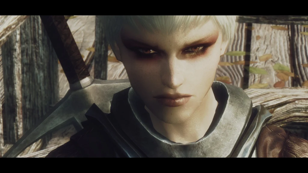 The Elder Scrolls V - mod autorstwa grupy Bijin Warmaidens The Elder Scrolls V - mod autorstwa grupy Bijin Warmaidens