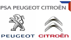 Peugeot i Citroen negocjują z Chińczykami