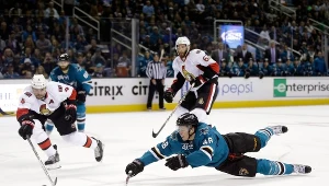 Tomasz Hertl (numer 48)